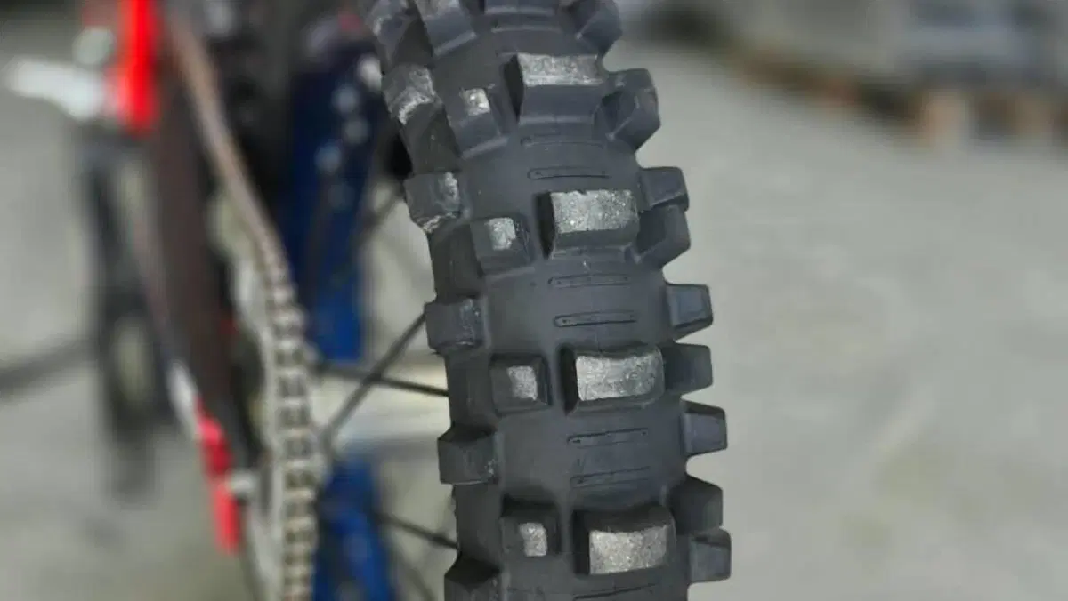 Betamotor RX 300 2T (2024 - 25)  (7)
