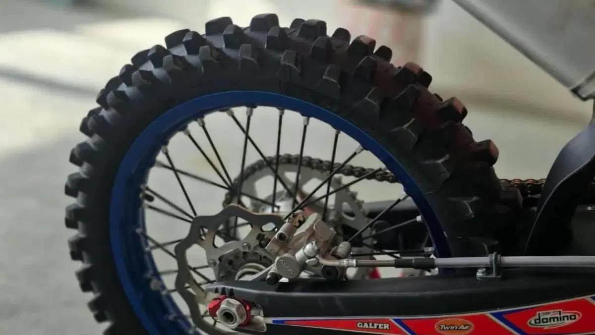 Betamotor RX 300 2T (2024 - 25)  (8)