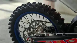 Betamotor RX 300 2T (2024 - 25)  (8)