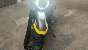 Ducati Scrambler 800 Desert Sled (2017 - 20)  (3)