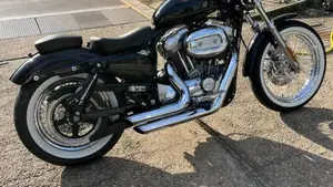Harley-Davidson 883 Standard (2001 - 05) - XL 883  (2)