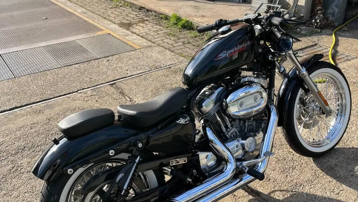 Harley-Davidson 883 Standard (2001 - 05) - XL 883  (3)