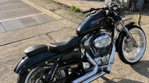 Harley-Davidson 883 Standard (2001 - 05) - XL 883  (3)