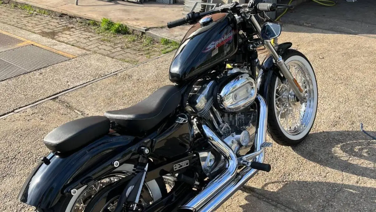 Harley-Davidson 883 Standard (2001 - 05) - XL 883  (4)