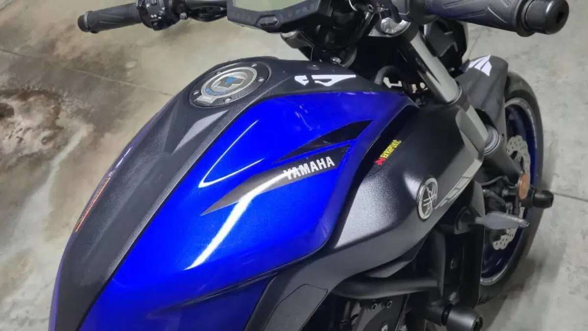 Yamaha MT-07 (2018 - 20)  (12)
