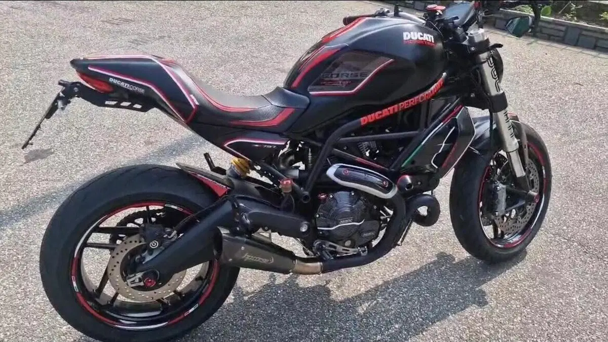 Ducati Monster 797 Plus (2019) 