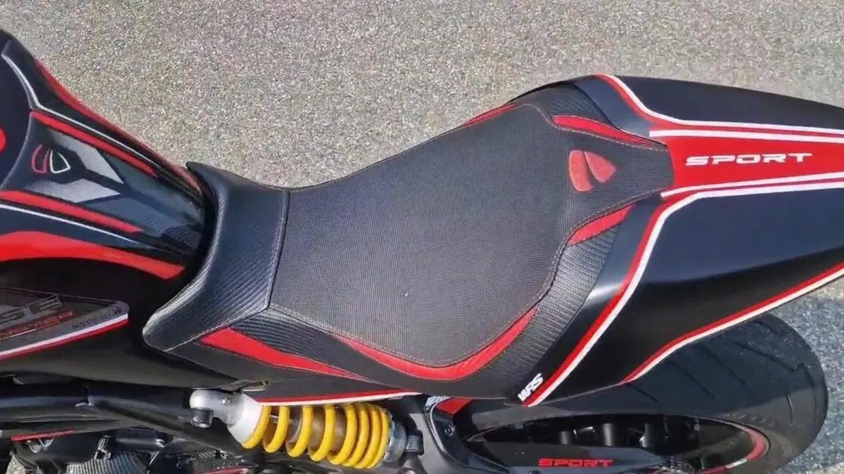 Ducati Monster 797 Plus (2019)  (4)