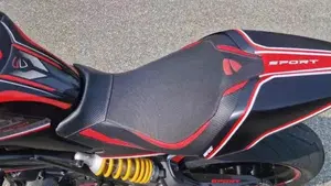 Ducati Monster 797 Plus (2019)  (4)