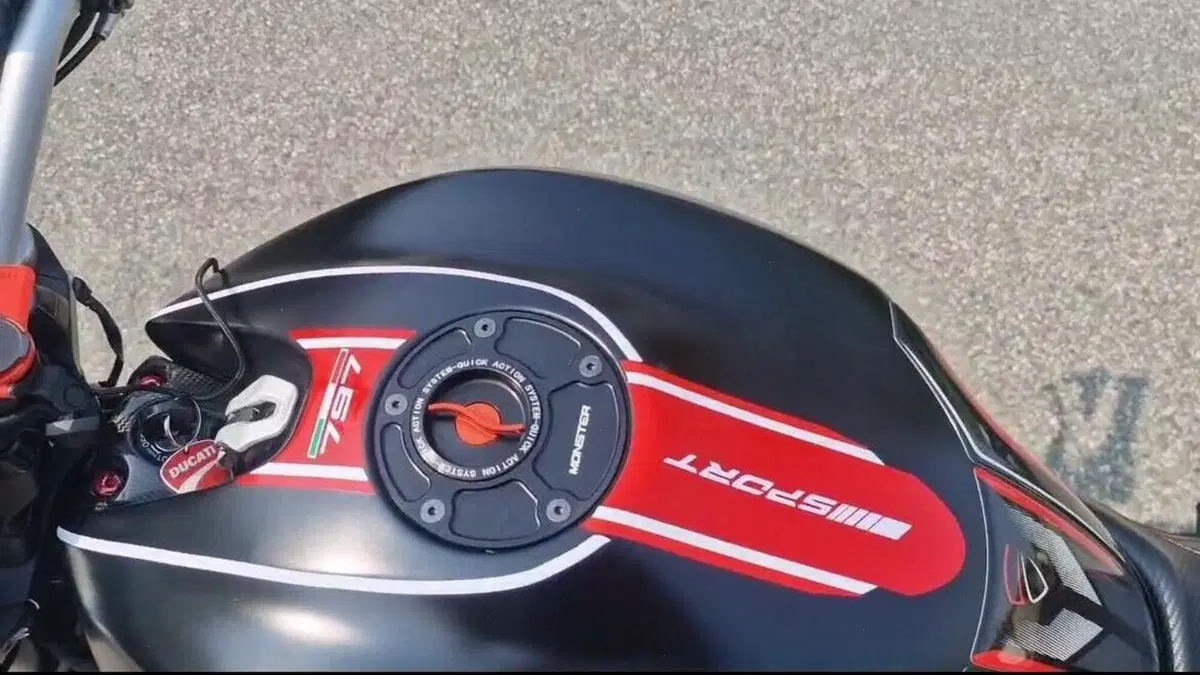 Ducati Monster 797 Plus (2019)  (5)