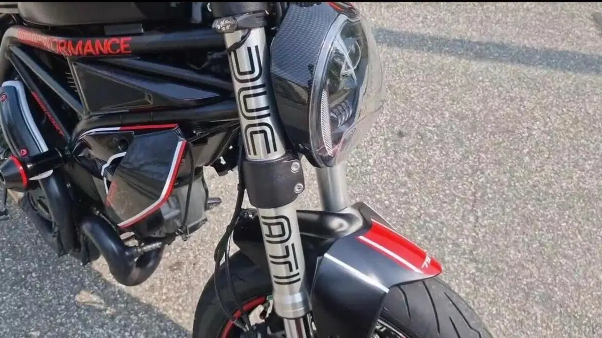 Ducati Monster 797 Plus (2019)  (10)