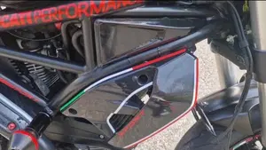 Ducati Monster 797 Plus (2019)  (11)