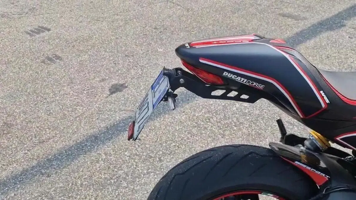 Ducati Monster 797 Plus (2019)  (14)