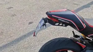 Ducati Monster 797 Plus (2019)  (14)