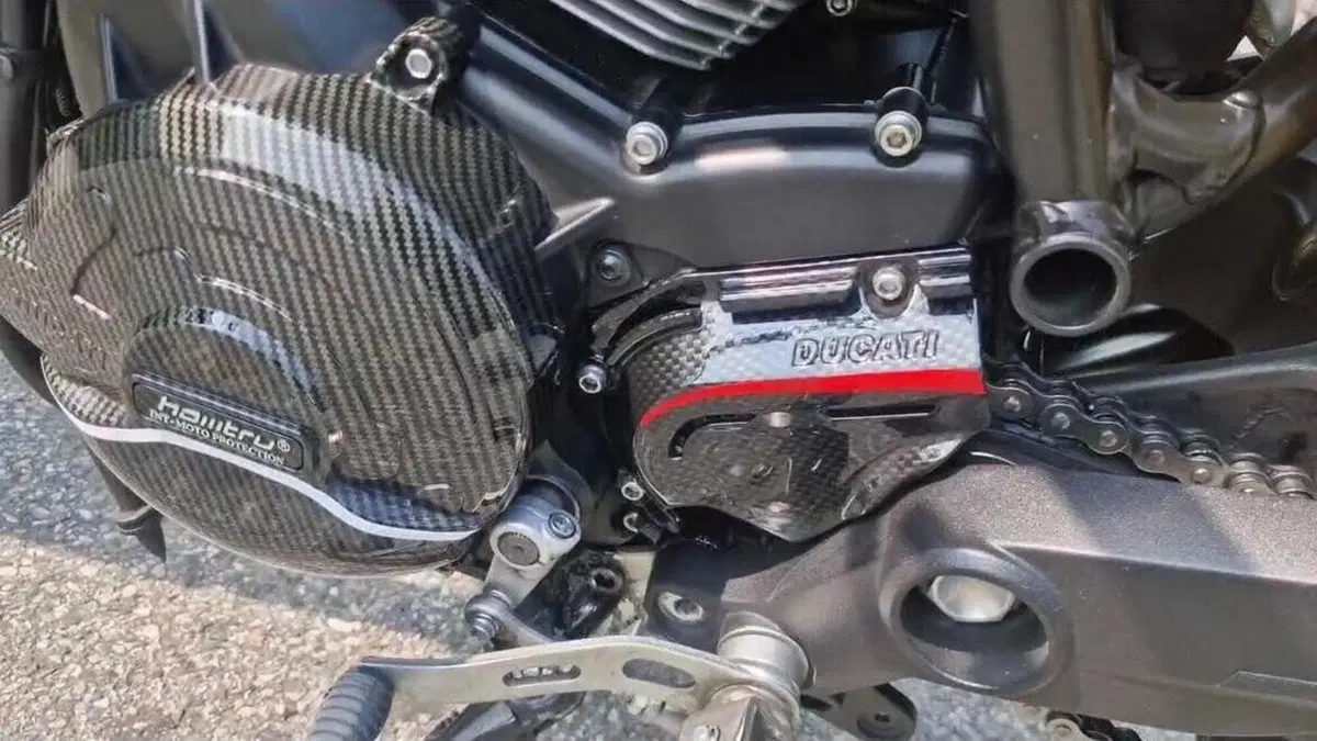 Ducati Monster 797 Plus (2019)  (16)