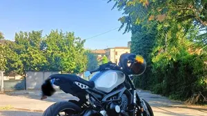 Yamaha XSR 900 ABS (2016 - 20) 