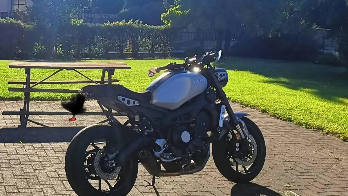 Yamaha XSR 900 ABS (2016 - 20)  (3)