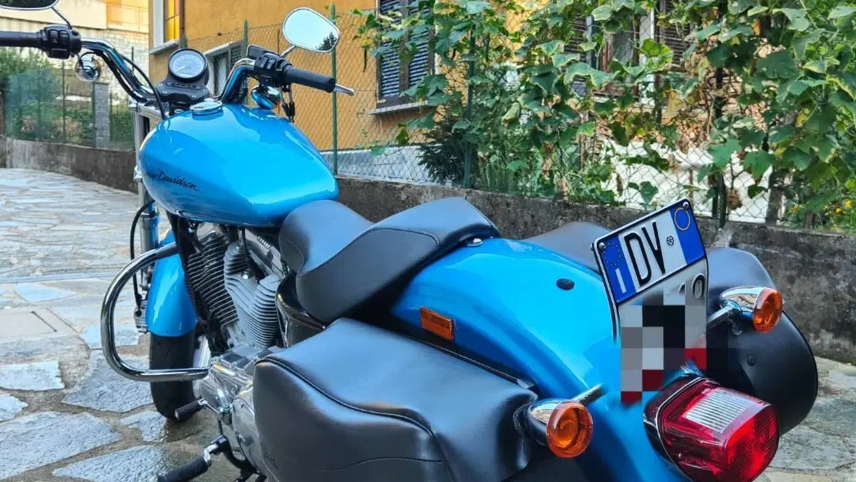 Harley-Davidson 883 Custom (2008 - 12) - XL 883C  (4)