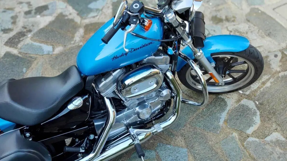 Harley-Davidson 883 Custom (2008 - 12) - XL 883C  (5)