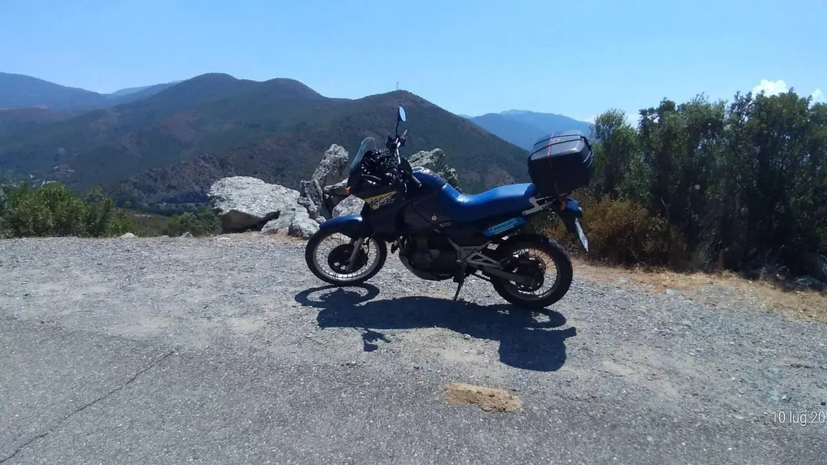 Kawasaki KLE 500 (2001 - 04)  (3)