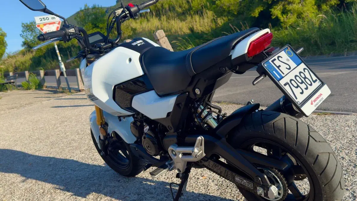 Honda MSX 125 Grom (2021 - 26) 