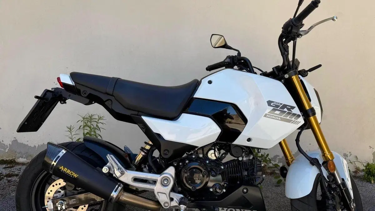 Honda MSX 125 Grom (2021 - 26)  (2)