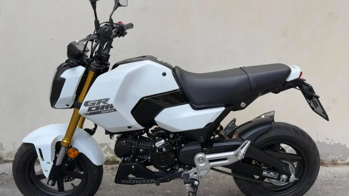 Honda MSX 125 Grom (2021 - 26)  (4)