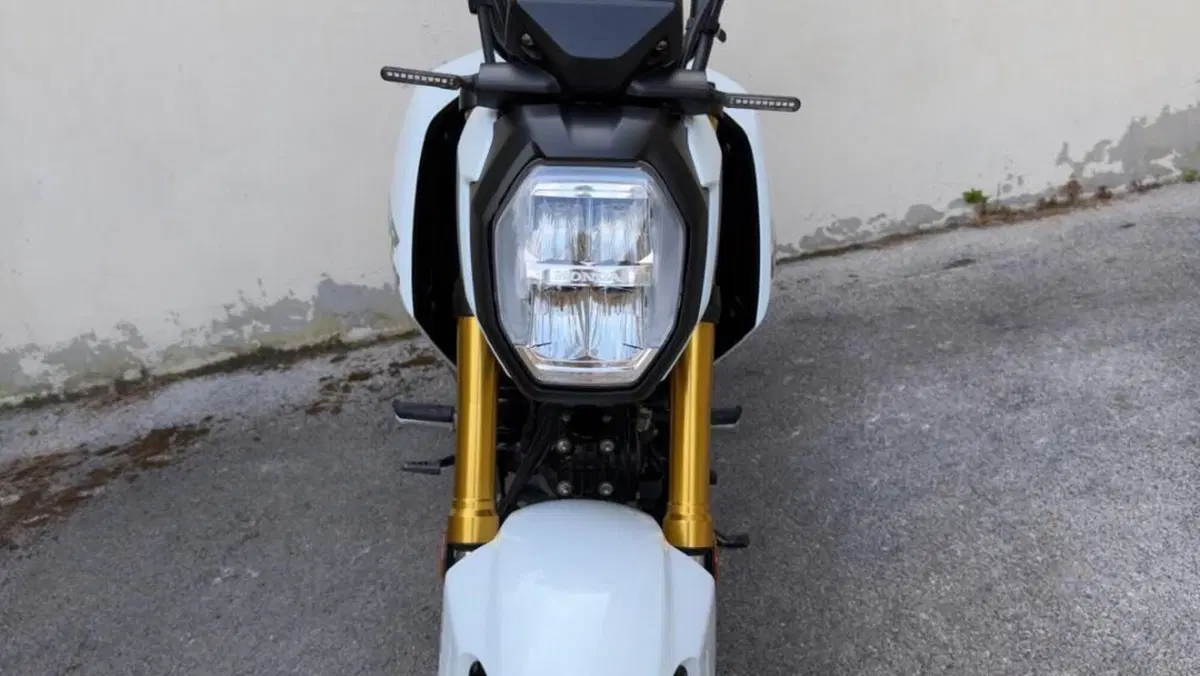 Honda MSX 125 Grom (2021 - 26)  (5)