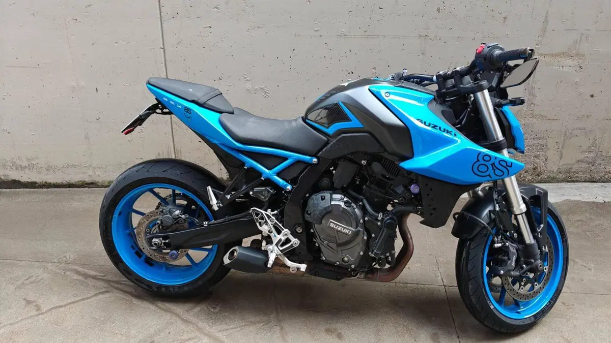 Suzuki GSX-8S (2023 - 24) 