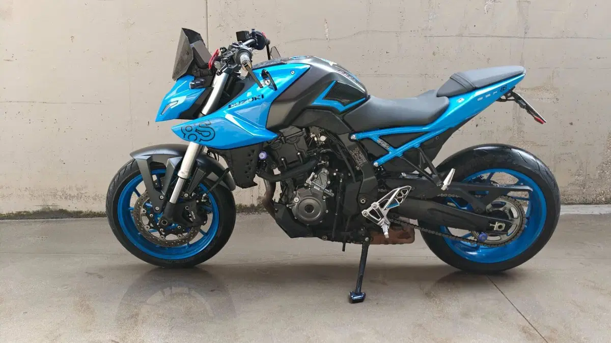 Suzuki GSX-8S (2023 - 24)  (2)