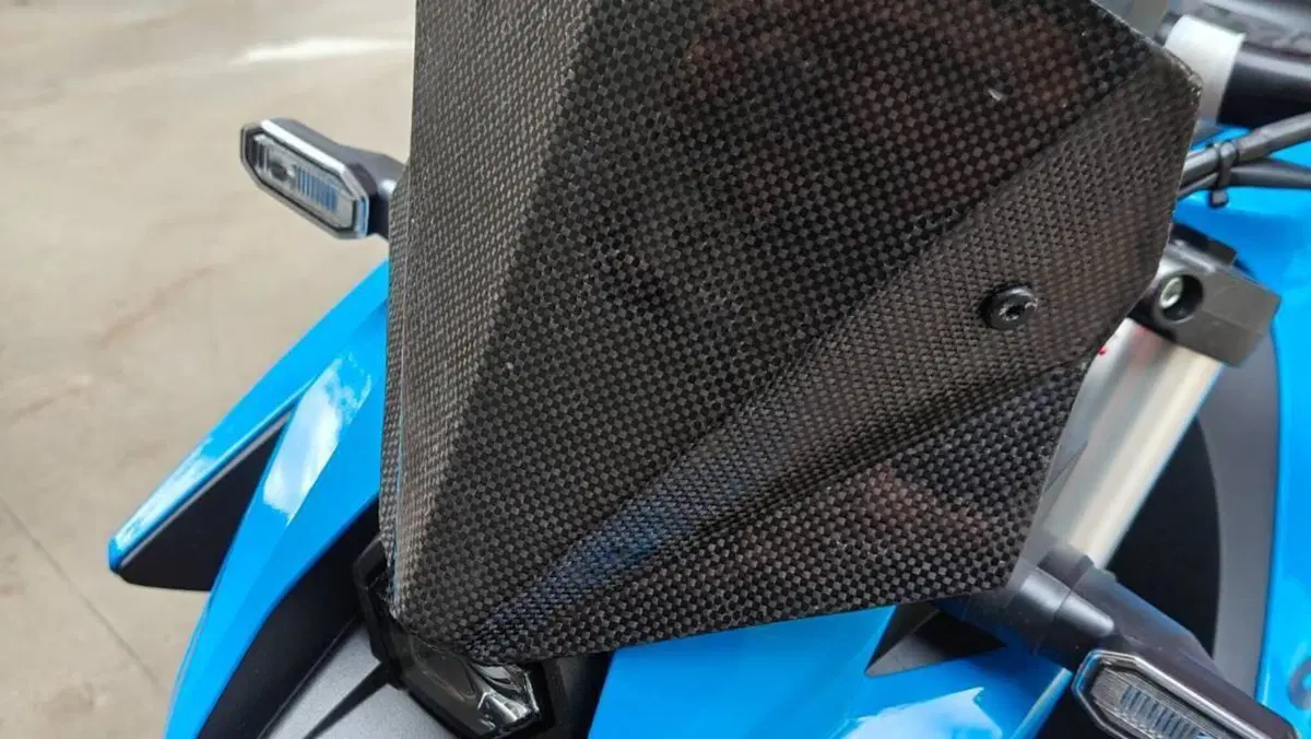 Suzuki GSX-8S (2023 - 24)  (6)