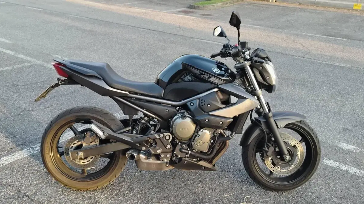 Yamaha XJ6 (2008 - 15)  (4)