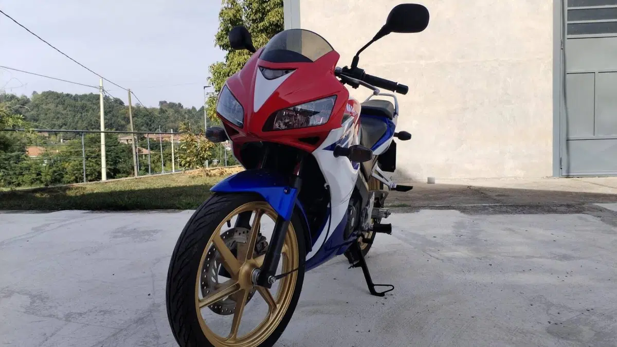 Honda CBR 125 R (2007 - 17)  (6)