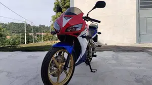 Honda CBR 125 R (2007 - 17)  (6)