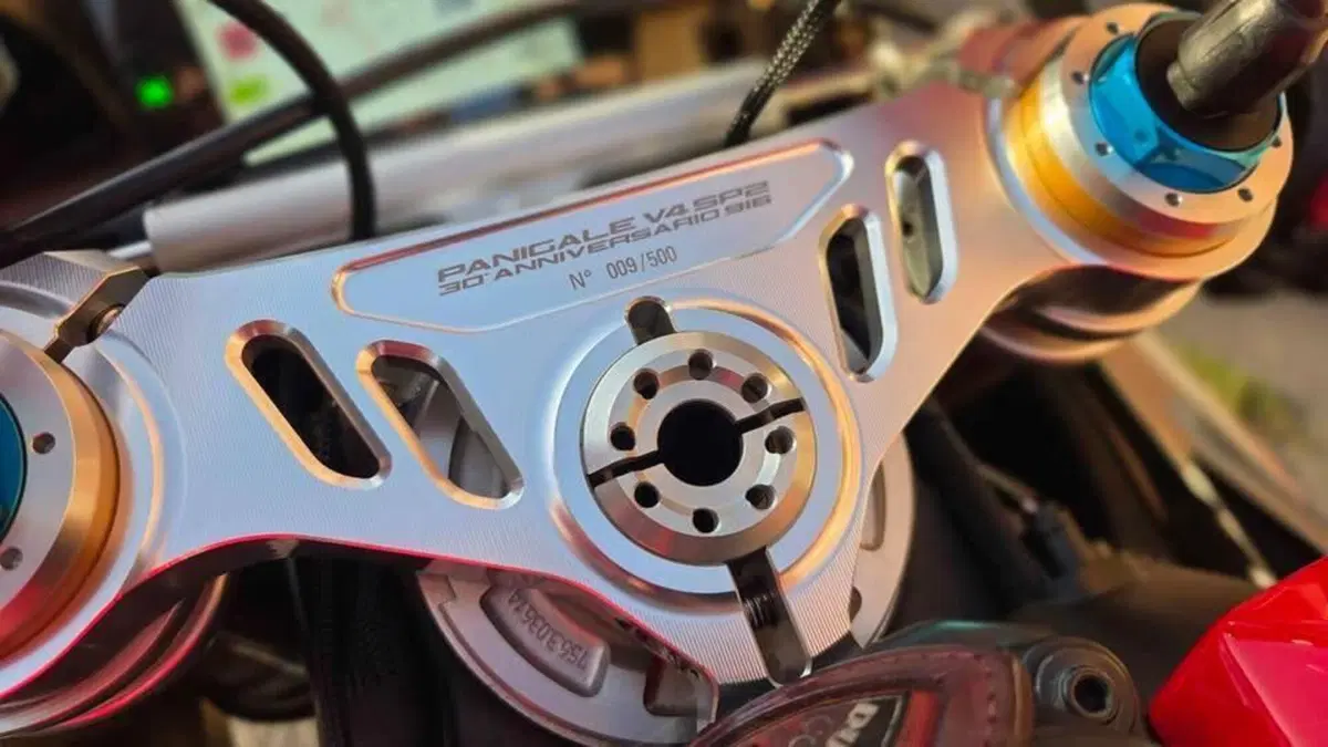 Ducati Panigale V4 SP2 30° Anniversario 916 (2024)  (6)