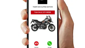 Triumph Tiger 1200 Alpine Special Edition (2026)  (3)