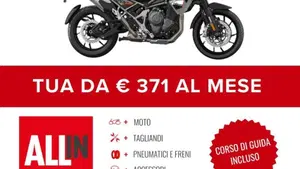 Triumph Tiger 1200 Alpine Special Edition (2026)  (2)