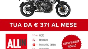 Triumph Tiger 1200 Alpine Special Edition (2026)  (2)
