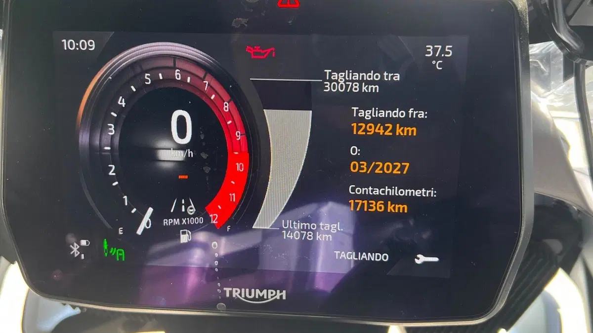Triumph Tiger 1200 GT Explorer (2022 - 23)  (4)