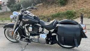 Harley-Davidson 1584 Deluxe (2007 - 08) - FLSTN  (2)