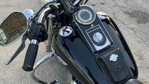 Harley-Davidson 1584 Deluxe (2007 - 08) - FLSTN  (3)