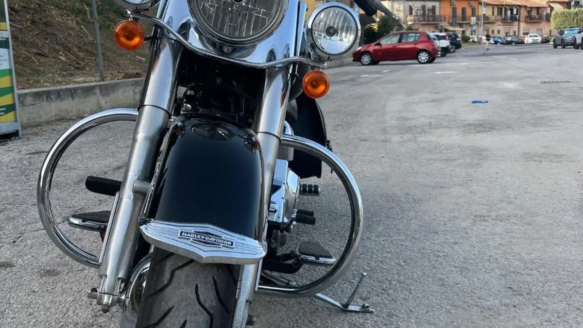 Harley-Davidson 1584 Deluxe (2007 - 08) - FLSTN  (6)