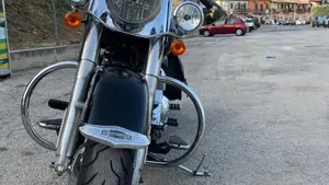 Harley-Davidson 1584 Deluxe (2007 - 08) - FLSTN  (6)