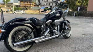 Harley-Davidson 1584 Deluxe (2007 - 08) - FLSTN  (7)