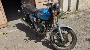 Suzuki   (2)