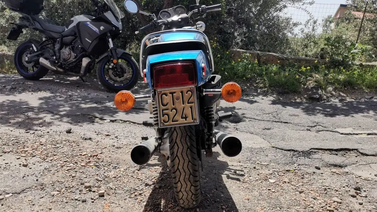 Suzuki   (5)