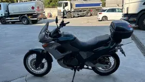Aprilia Pegaso 650 IE (2001 - 02)  (2)