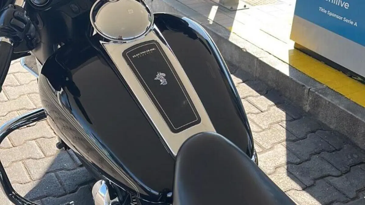 Harley-Davidson 1690 Electra Glide Classic (2010 - 12) - FLHTC  (3)
