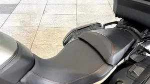 Ducati Multistrada 1260 (2018 - 20)  (7)
