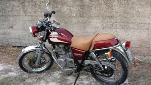 Suzuki   (8)
