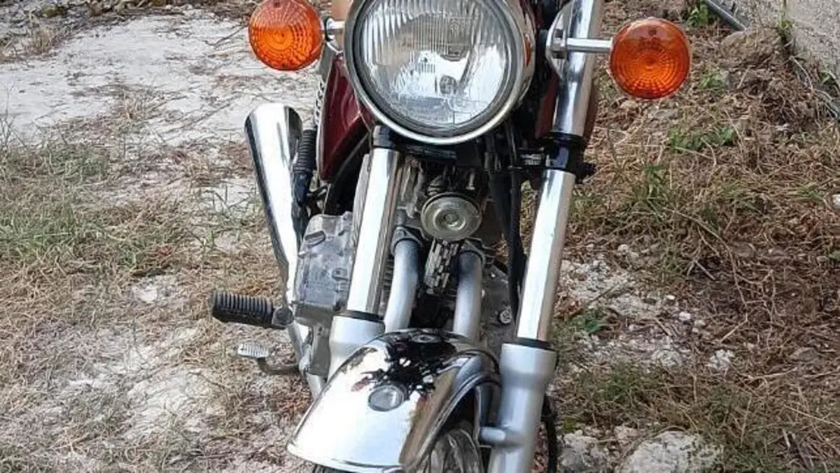Suzuki   (10)